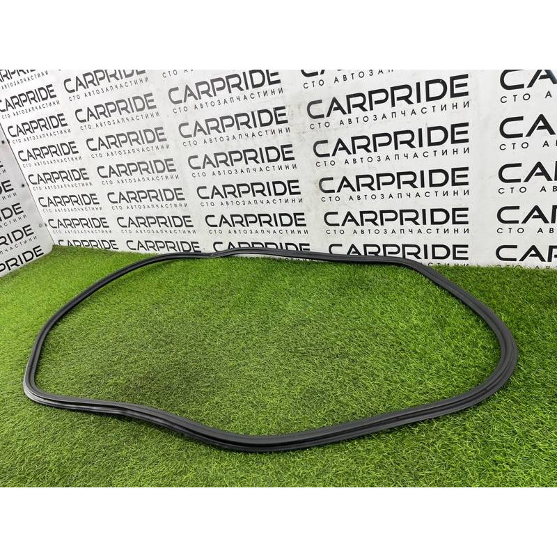 Уплотнитель проема двери (кузов и элементы) AUDI A8 D4 2011 4,2 4H0831721G