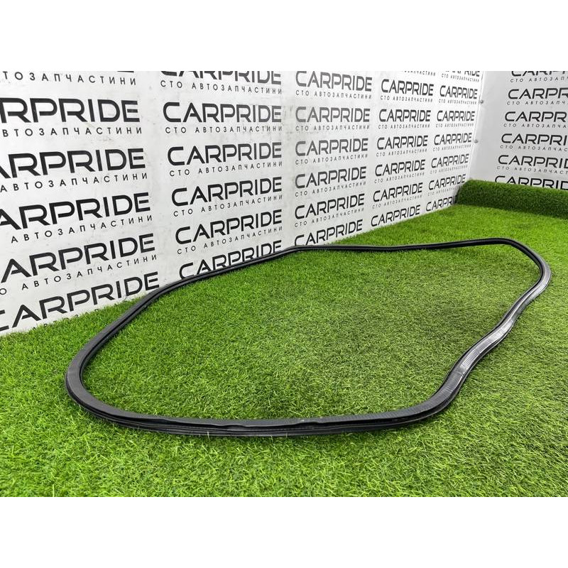 Уплотнитель проема двери (кузов и элементы) AUDI A8 D4 2011 4,2 4H0831721G