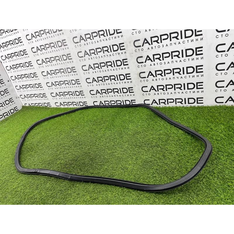 Уплотнитель проема двери (кузов и элементы) AUDI A8 D4 2011 4,2 4H0831721G