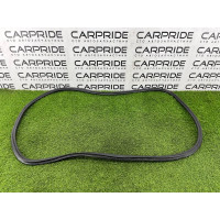 Ущільнювач дверей