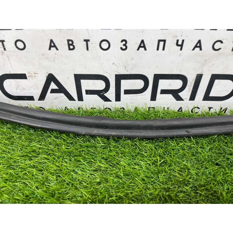 Уплотнитель проема двери (кузов и элементы) AUDI A8 D4 2011 4,2 4H0831721G