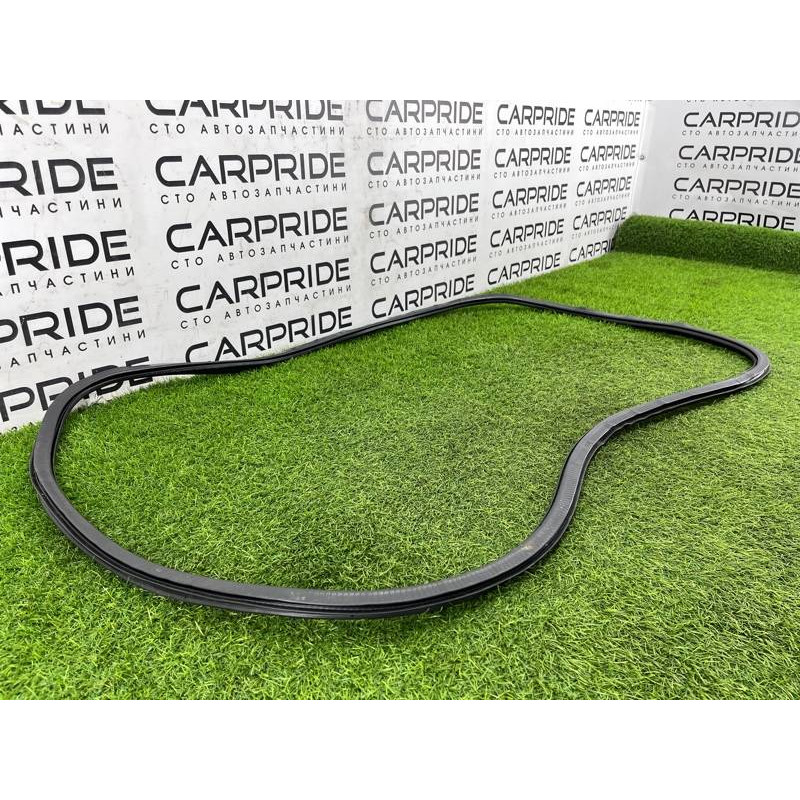 Уплотнитель проема двери (кузов и элементы) AUDI A8 D4 2011 4,2 4H0831721G