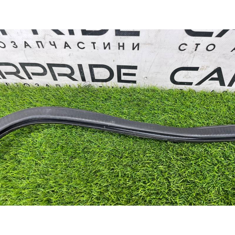 Уплотнитель проема двери (кузов и элементы) AUDI A8 D4 2011 4,2 4H0831721G