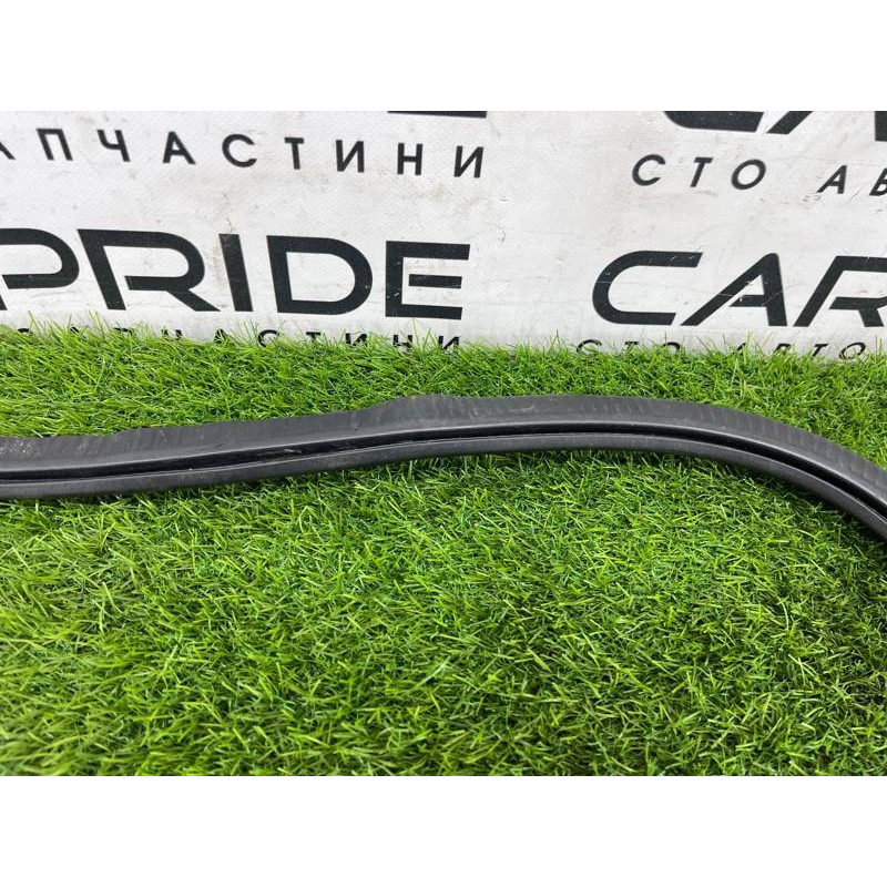 Уплотнитель проема двери (кузов и элементы) AUDI A8 D4 2011 4,2 4H0831721G