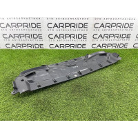 Воздухозаборник капота