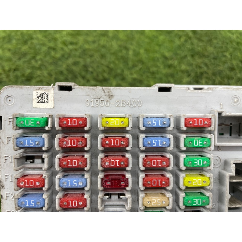 Блок предохранителей (электрика) Hyundai Santa Fe CM 2009 2.2 CRDI 919502B400