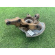 Цапфа подвески (подвеска) Nissan Almera B10 2008 1,6 QG16 4001595F0A