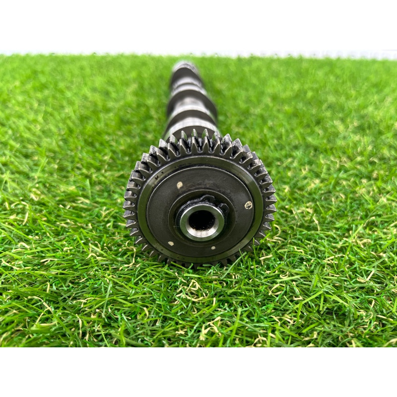 Распредвал (двигатель и элементы) Volkswagen Touareg II NF 2013 3.0 TDI 059109009DJ