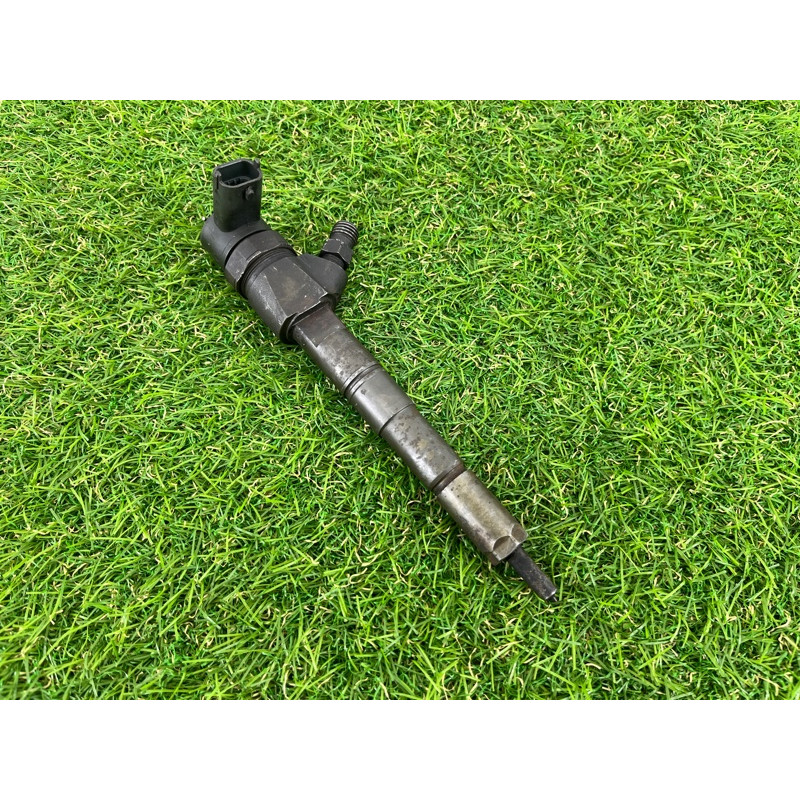 Форсунка топливная (топливная система) Opel Insignia A 2009 2.0 DTH 55566050