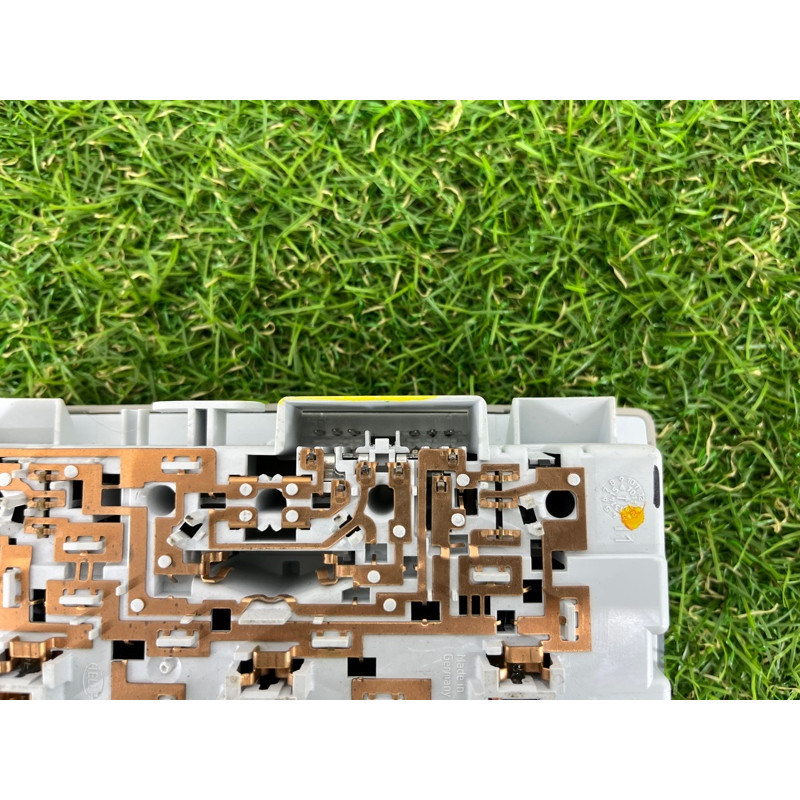Плафон салона (салон) CHEVROLET Volt 1 2012 1.4 22779359