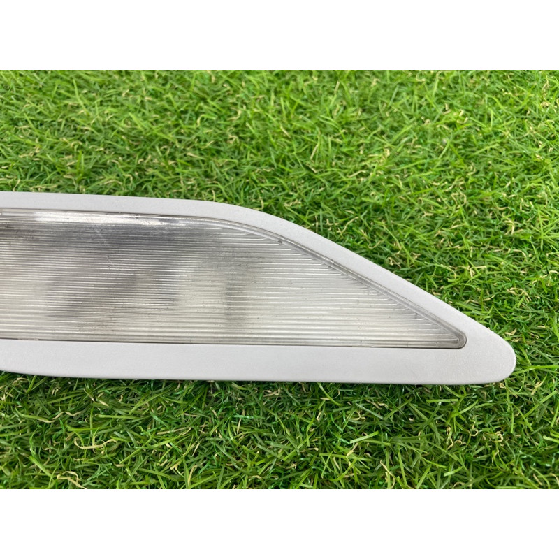 Плафон салона (салон) BMW 5-series E39 8363608