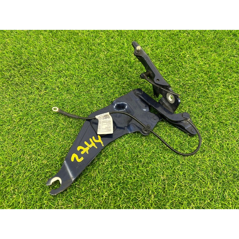 Петля капота (кузов и элементы) BMW X5 E70 2012 3.0 N55 41007198618