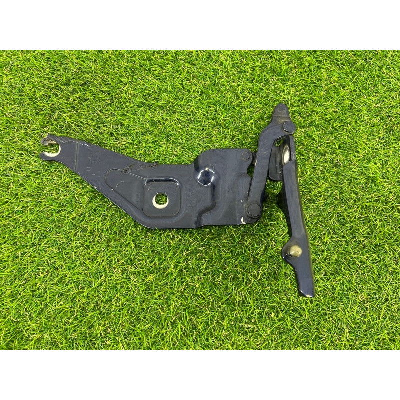 Петля капота (кузов и элементы) BMW X5 E70 2012 3.0 N55 41007198617