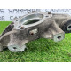 Цапфа подвески (подвеска) Volkswagen Touareg NF 2012 3.6 7P0505435B