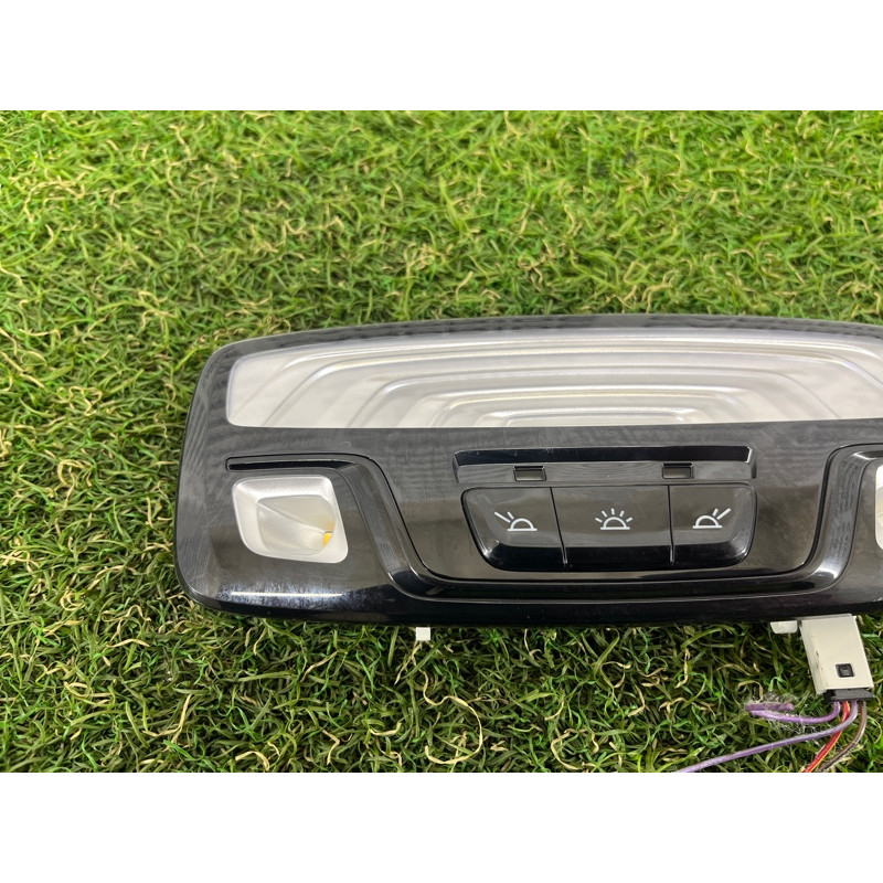 Плафон салона (салон) BMW 5-series G30 2017 2.0 B46B20 63316848614