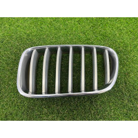 Решітка радіатора