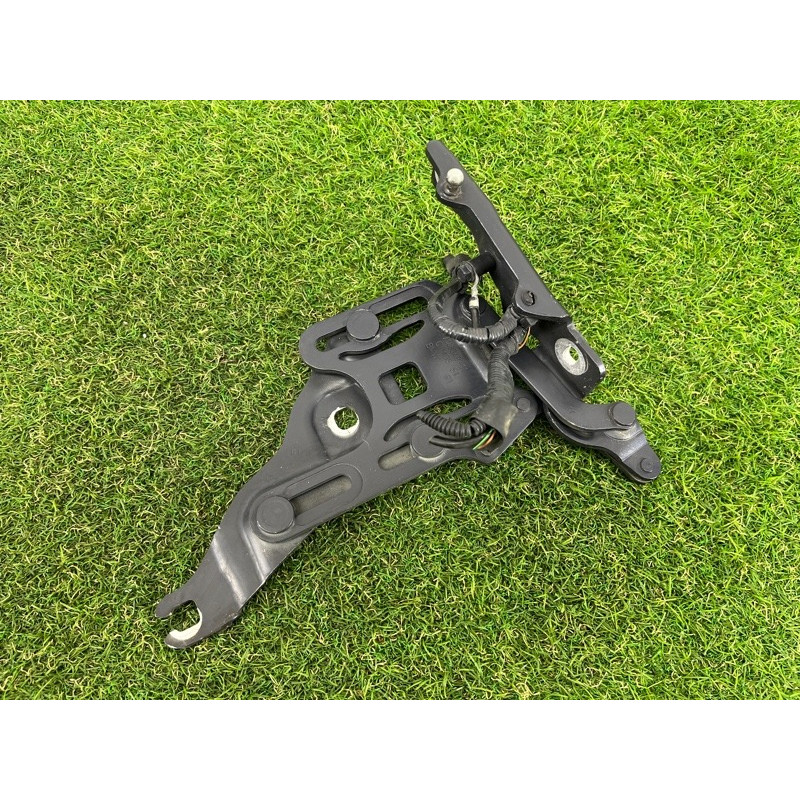 Петля капота (кузов і елементи) BMW X5 E70 2008 3.0 N52N 41007198618