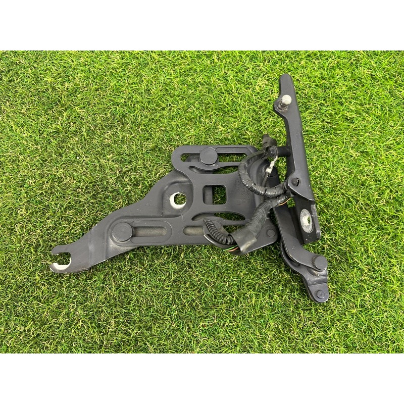 Петля капота (кузов і елементи) BMW X5 E70 2008 3.0 N52N 41007198618