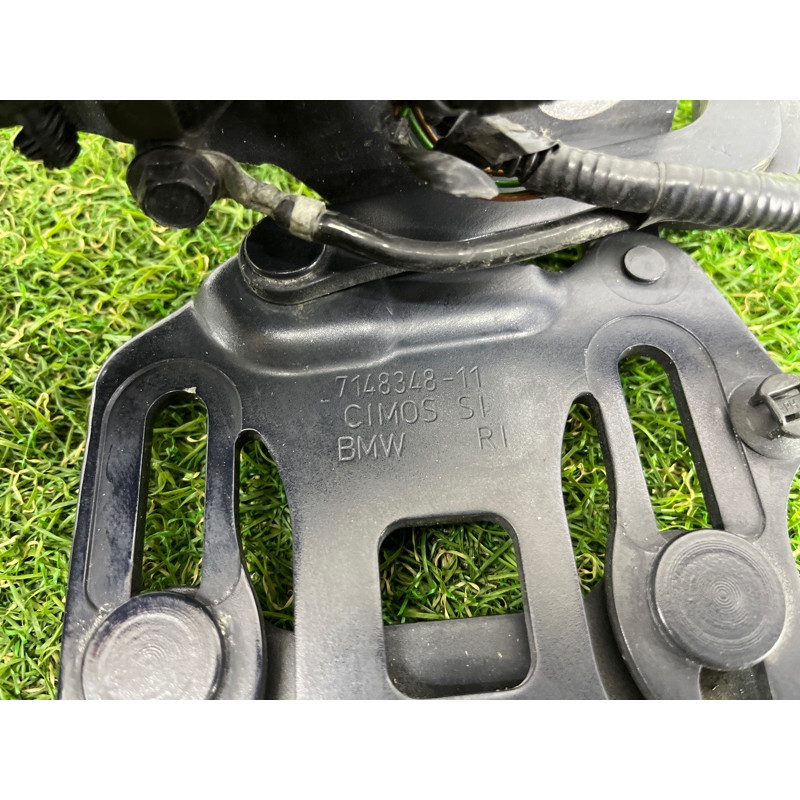 Петля капота (кузов і елементи) BMW X5 E70 2008 3.0 N52N 41007198618