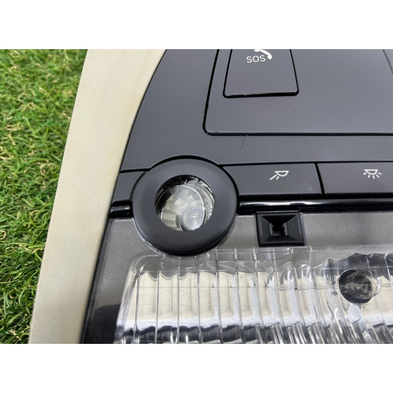 Плафон салона (салон) BMW X3 F25 2012 3.0 61319276230