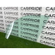 Скло (кузов і елементи) BMW X5 E70 2008 3.0 N52N 51337137014