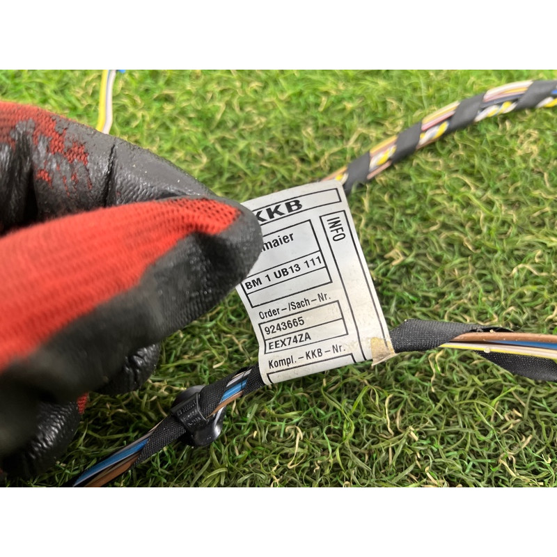 Проводка дверная (электрика) BMW X3 F25 2012 3.0 61129243667