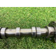 Розподільний вал впускний (двигун та елементи) Volkswagen Touareg NF 2012 3.0 059109021DS