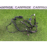 Проводка дверная