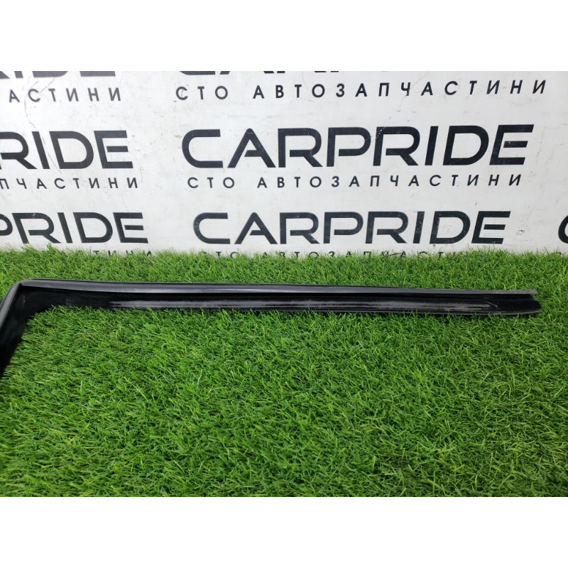 Уплотнитель проема двери (кузов и элементы) BMW X5 E53 M57d30