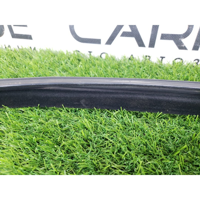 Уплотнитель проема двери (кузов и элементы) BMW X5 E53 M57d30