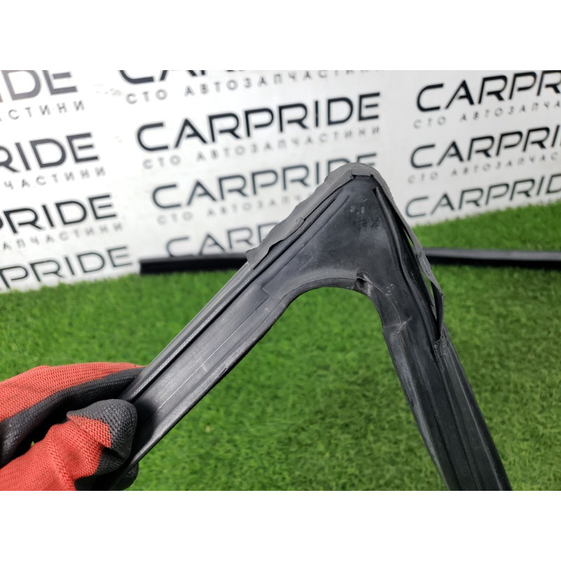 Уплотнитель проема двери (кузов и элементы) BMW X5 E53 M57d30