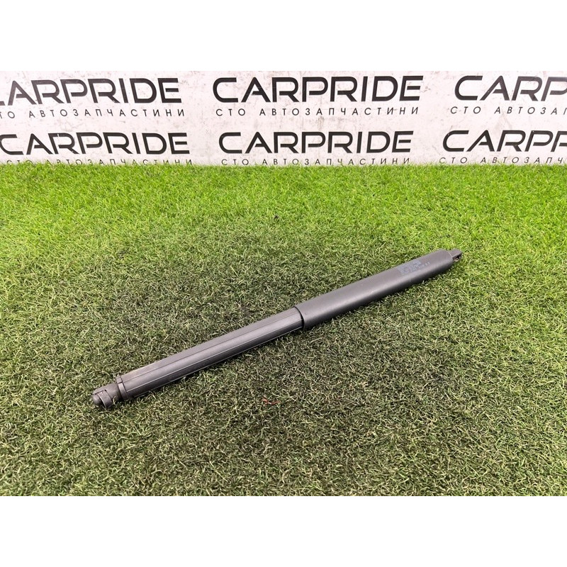 Амортизатор багажника (кузов и элементы) BMW X5 E70 2008 3.0 N52N 51247294199