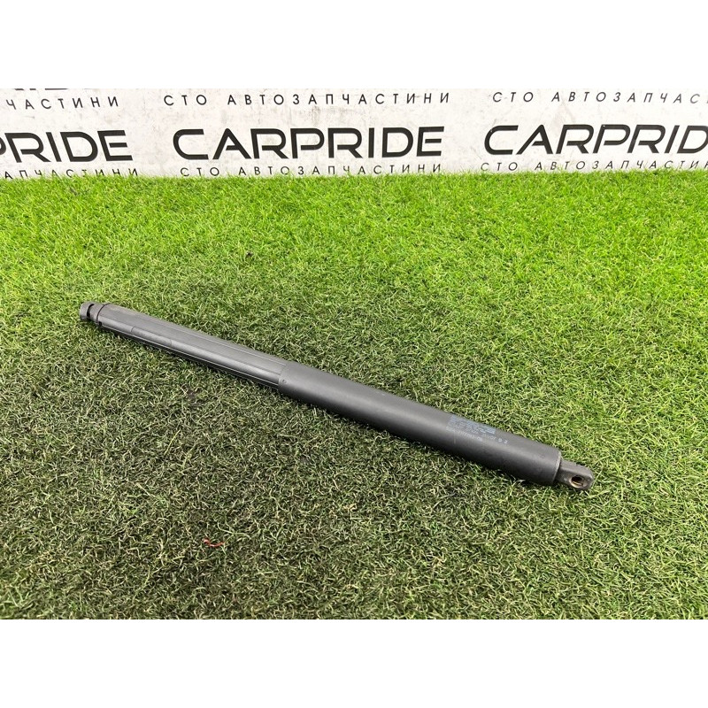 Амортизатор багажника (кузов и элементы) BMW X5 E70 2008 3.0 N52N 51247294199