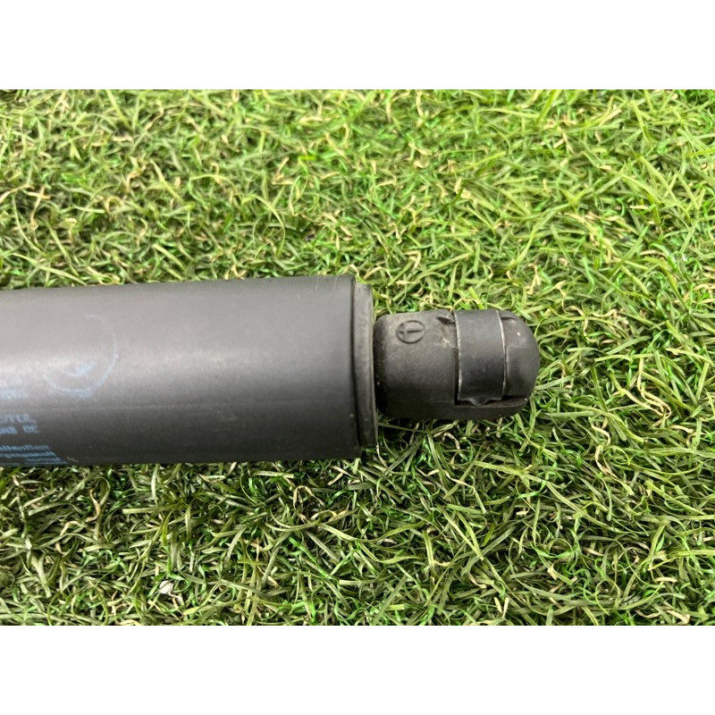 Амортизатор багажника (кузов и элементы) BMW X5 E70 2008 3.0 N52N 51247294199