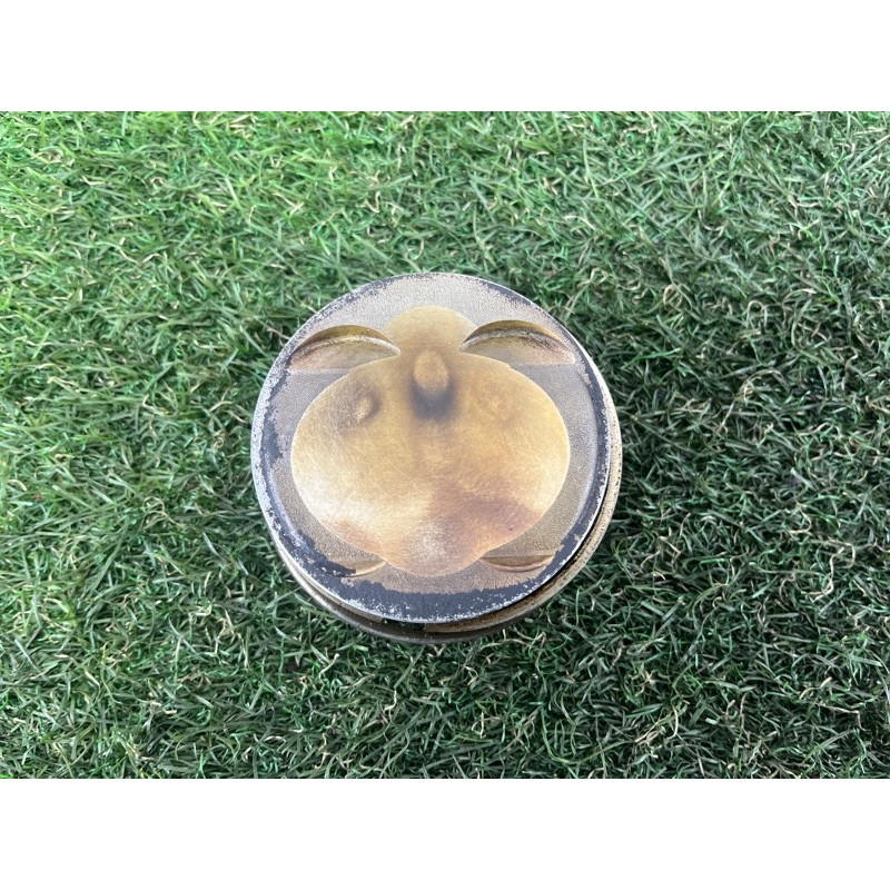 Поршень (двигатель и элементы) AUDI A4 B9 2017 2.0 06K107065AC