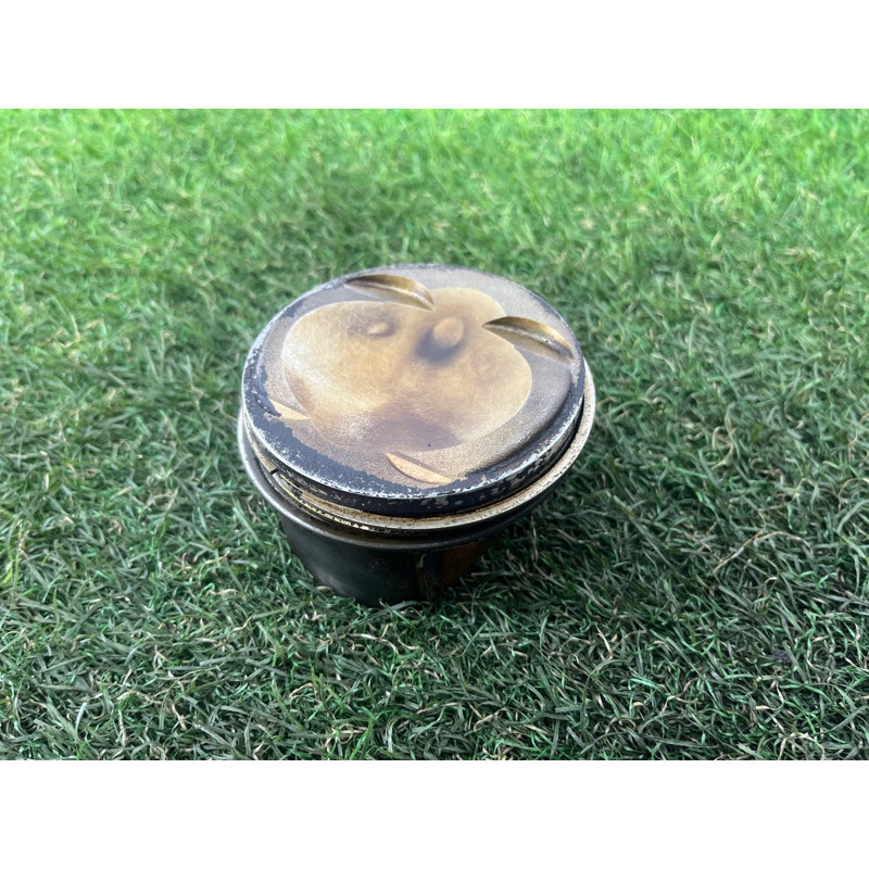 Поршень (двигатель и элементы) AUDI A4 B9 2017 2.0 06K107065AC