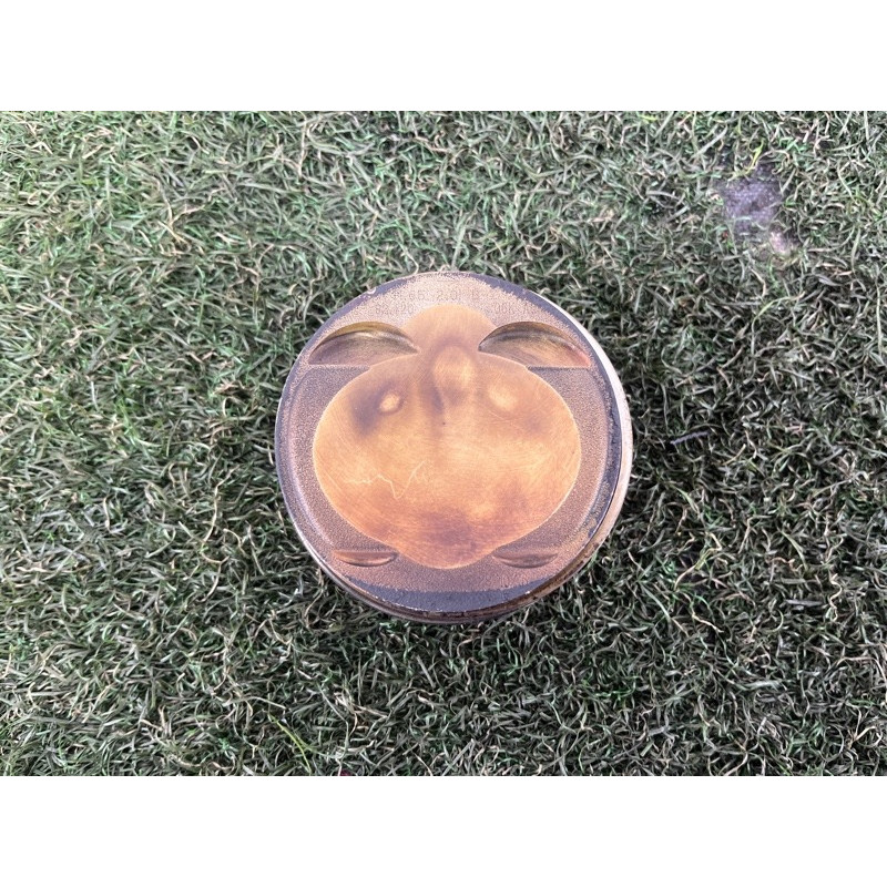 Поршень (двигатель и элементы) AUDI A4 B9 2017 2.0 06K107065AC