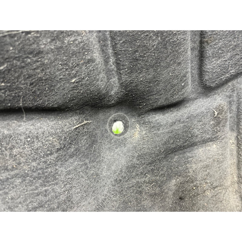 Подкрылок (кузов и элементы) AUDI A4 B9 2017 2.0 8W0810171F