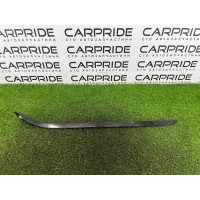 Молдинг лобового скла