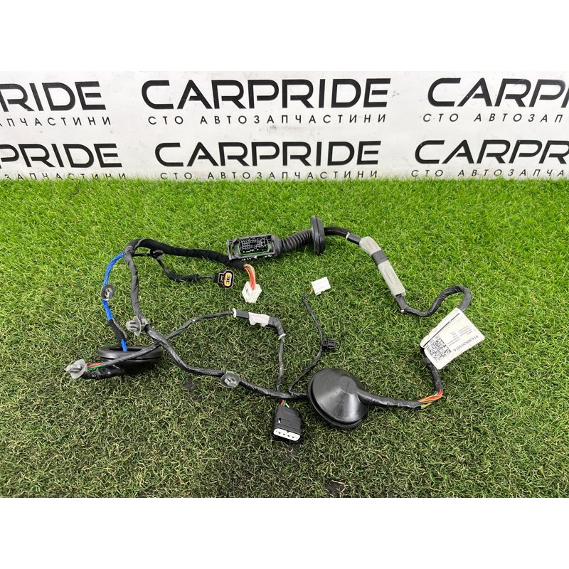 Проводка дверная (электрика) Hyundai Santa Fe TM 2019 2.4GDI 91630S2010