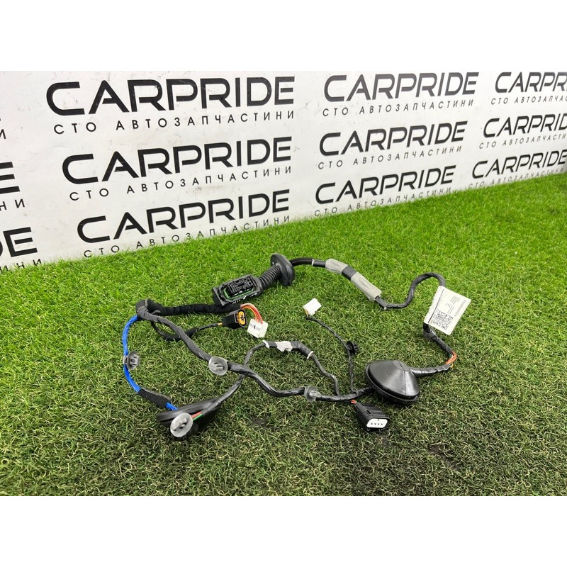 Проводка дверная (электрика) Hyundai Santa Fe TM 2019 2.4GDI 91630S2010