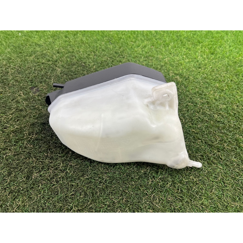 Бачок расширительный (система охлаждения) Hyundai Santa Fe TM 2019 2.4GDI 25430S1000