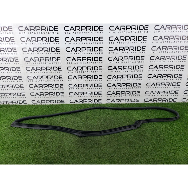 Уплотнитель проема двери (кузов и элементы) Mini Cooper R53 S R53 2006 1.6 51717039864