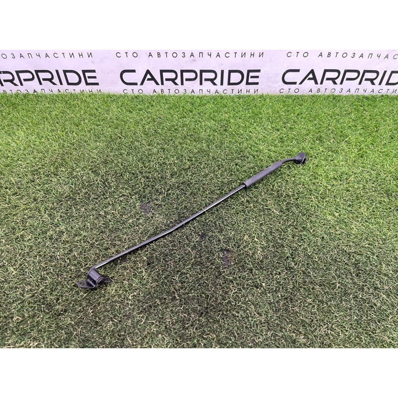 Упор капота (кузов и элементы) Hyundai Ioniq AE 2021 1.6 Hybrid 81170G2000