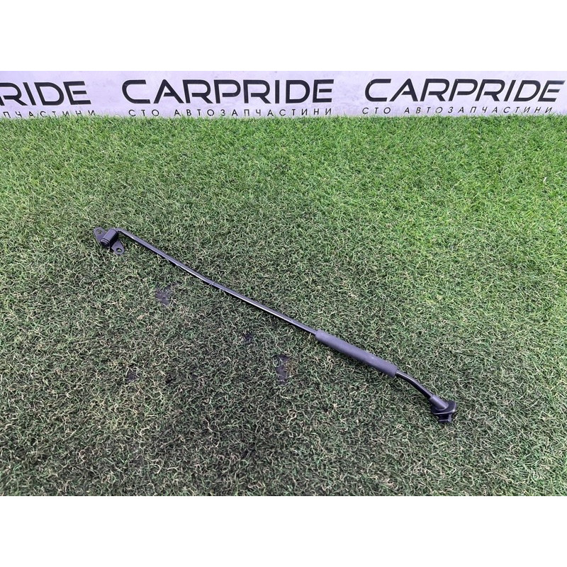 Упор капота (кузов и элементы) Hyundai Ioniq AE 2021 1.6 Hybrid 81170G2000