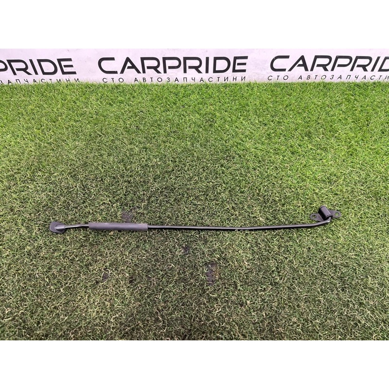 Упор капота (кузов и элементы) Hyundai Ioniq AE 2021 1.6 Hybrid 81170G2000