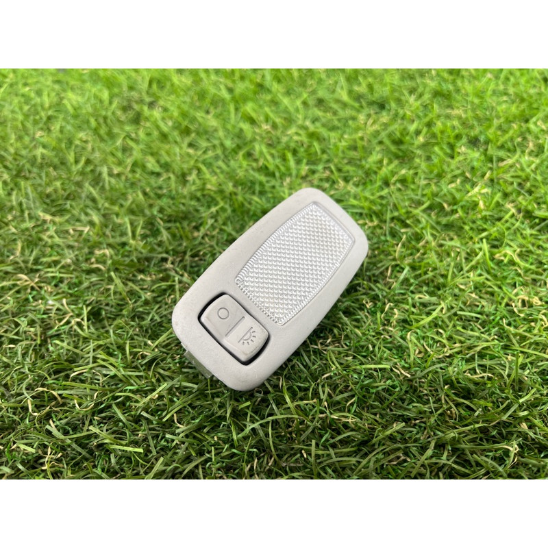 Плафон салона (салон) Hyundai Santa Fe TM 2019 2.4GDI 928923S000YGE