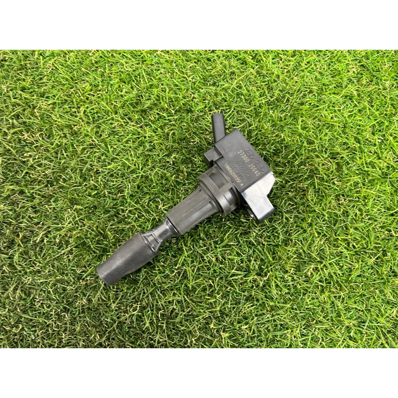 Катушка зажигания (электрика двигателя) Hyundai Santa Fe TM 2020 2.4GDI 273002GGA0