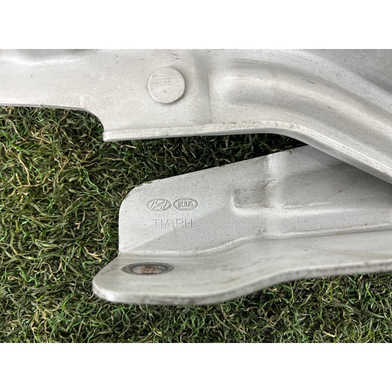 Петля капота (кузов и элементы) Hyundai Santa Fe TM 2019 2.4GDI 66920S1000