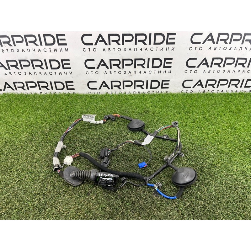 Проводка дверная (электрика) Hyundai Santa Fe TM 2019 2.0 GDi Turbo 91630S2070